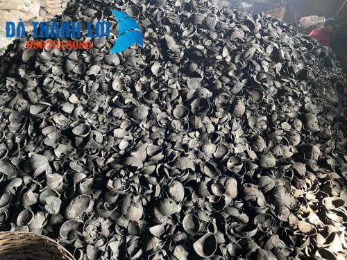 Than gáo dừa sinh học