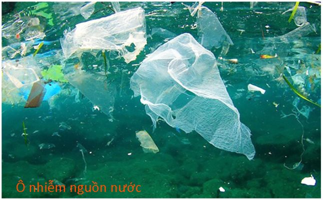 Ô nhiễm nguồn nước