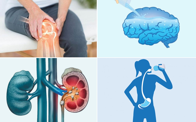 Uống nước đóng vai trò quan trong với cơ thể : Bôi trơn, thảo độc, hỗ trợ tiêu hóa, cung cấp nước cho não bộ ...