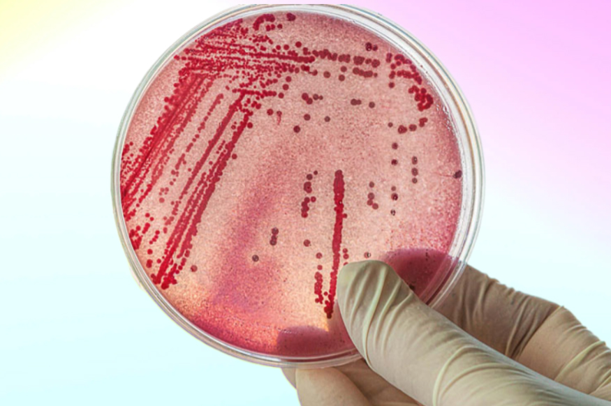 Chỉ số coliform trong nước thải , nước sinh hoạt dùng để đánh giá độ an toàn của nước Chỉ số coliform trong nước thải , nước sinh hoạt dùng để đánh giá độ an toàn của nước