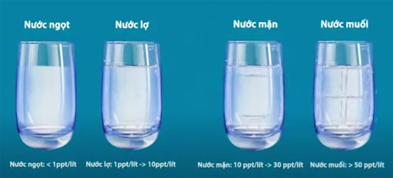 Nước nhiễm mặn