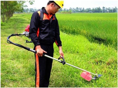 Máy cắt cỏ đeo vai Honda GX35 có nhiều ưu điểm vượt trội