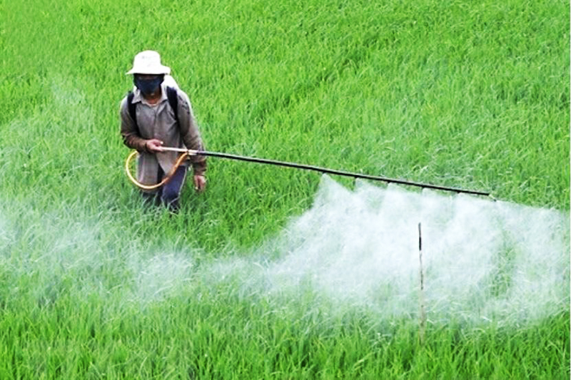 Sử dụng thuốc bảo vệ thực vật có thể gây ô nhiễm nguồn nước nước ngầm Sử dụng thuốc bảo vệ thực vật có thể gây ô nhiễm nguồn nước nước ngầm